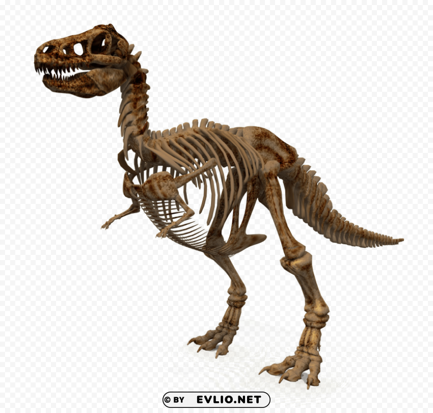dinosaur High-resolution PNG images with transparency
