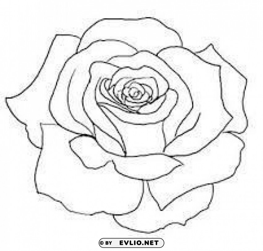 png rose outline s Alpha PNGs clipart png photo - c78ecee9
