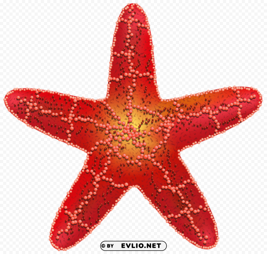 red starfish Transparent Background Isolated PNG Character