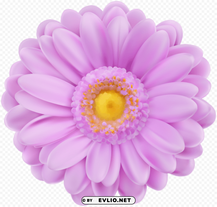 soft purple flower Clean Background Isolated PNG Graphic Detail