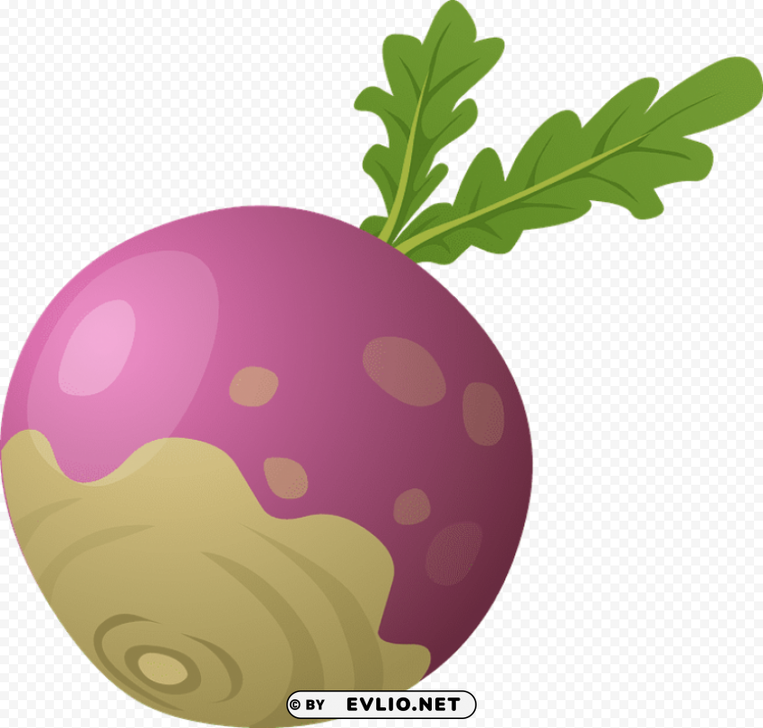 beet PNG Image Isolated with Clear Transparency