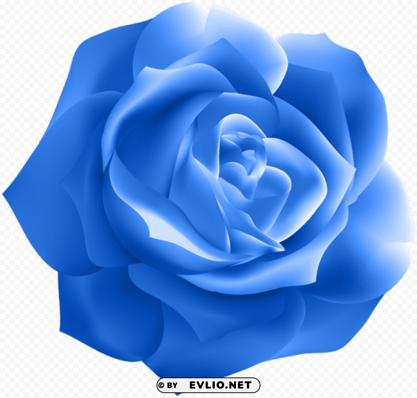 blue rose deco PNG images with alpha channel selection
