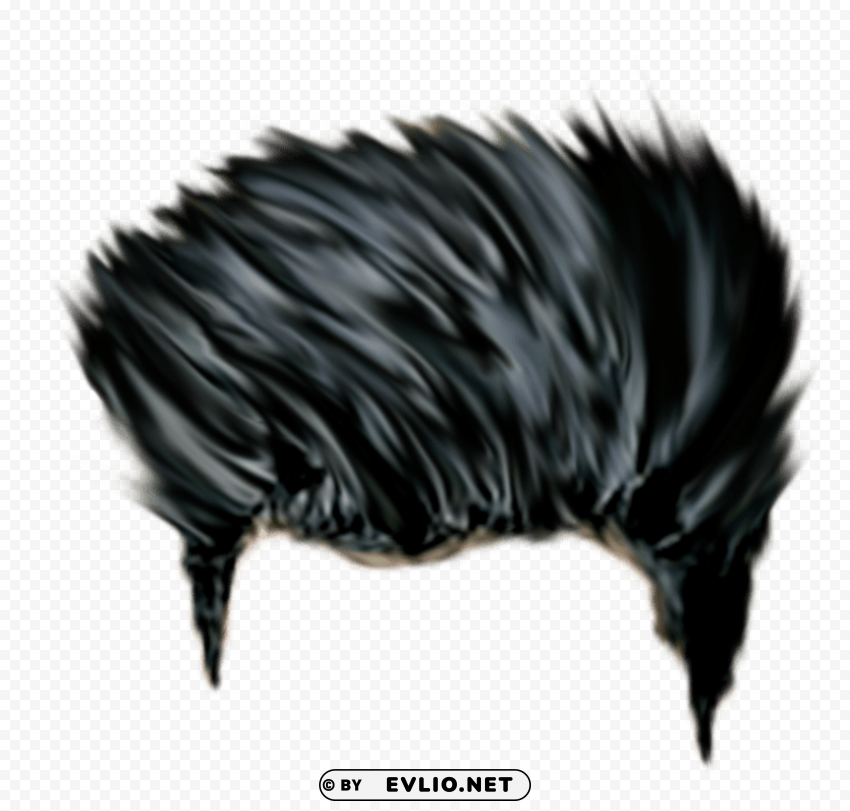 cb hair hd Transparent PNG Isolated Item with Detail PNG transparent with Clear Background ID c3517a27