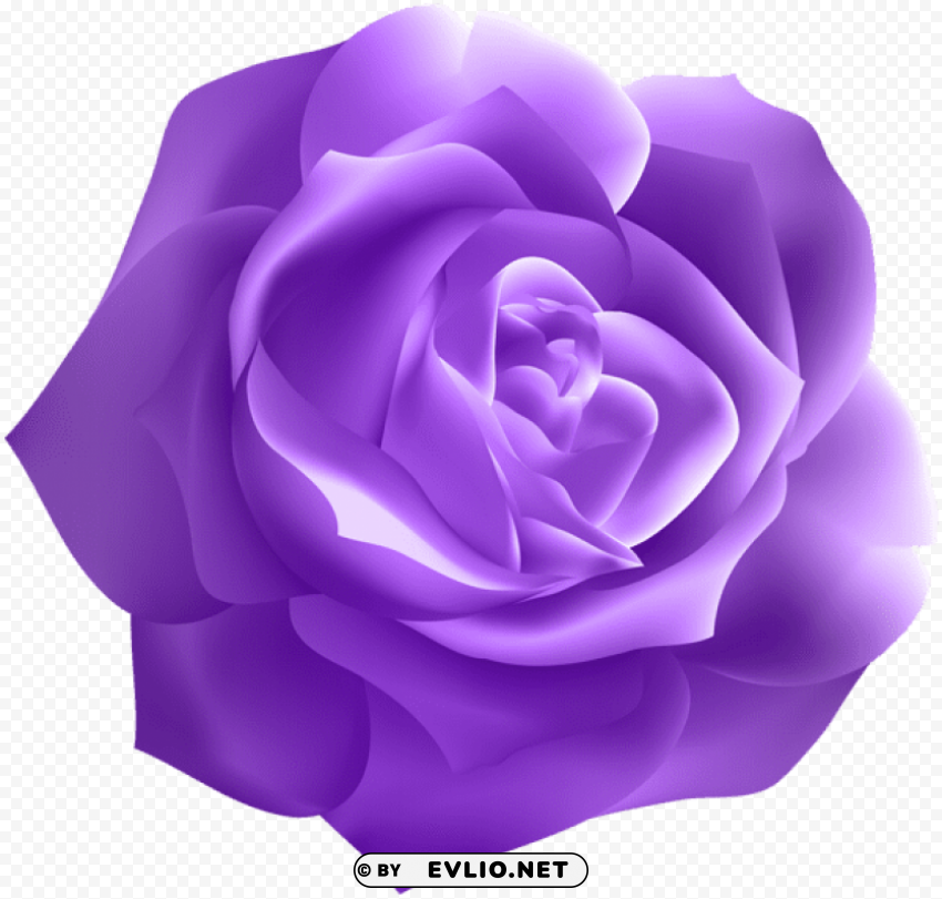 PNG image of dark purple rose deco PNG images with alpha background with a clear background - Image ID 503b35b9