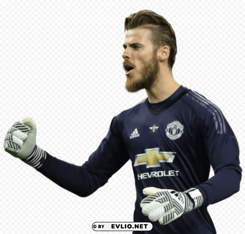 Download david de gea Transparent PNG Isolated Graphic Detail png images background ID 16ca5ea0