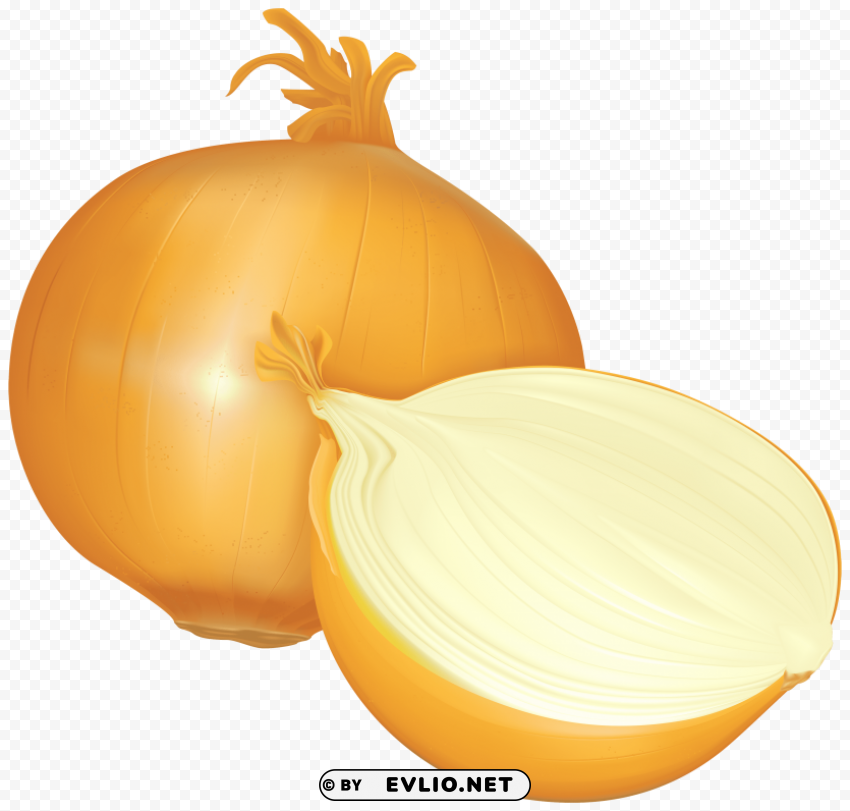 onion No-background PNGs