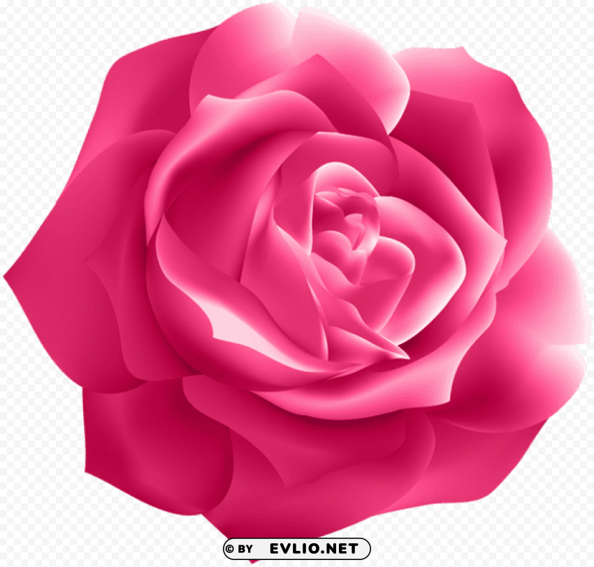 PNG image of pink rose deco PNG images for websites with a clear background - Image ID c4cd31d4