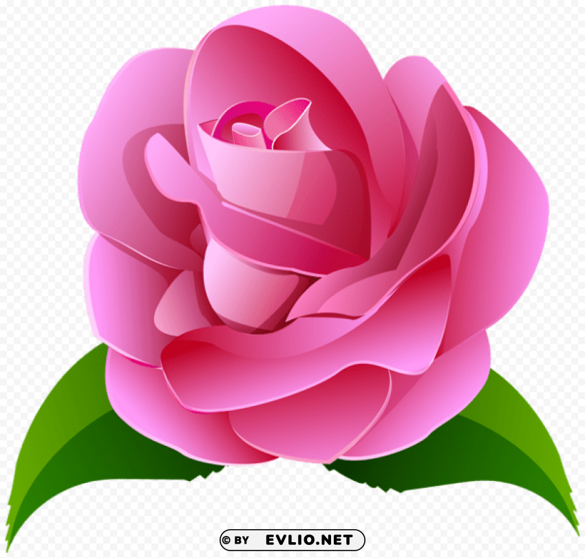pink rose deco transparent Images in PNG format with transparency