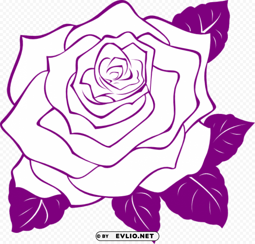  rose outline s Isolated Design Element in Clear Transparent PNG