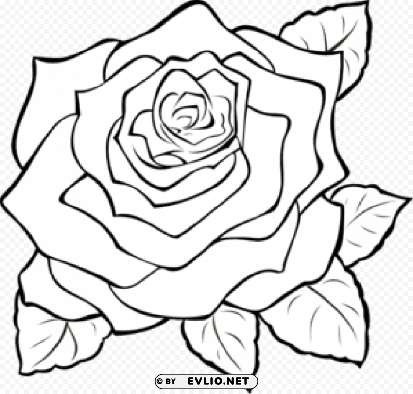  rose outline s Isolated Design Element in HighQuality PNG clipart png photo - f62b6cef