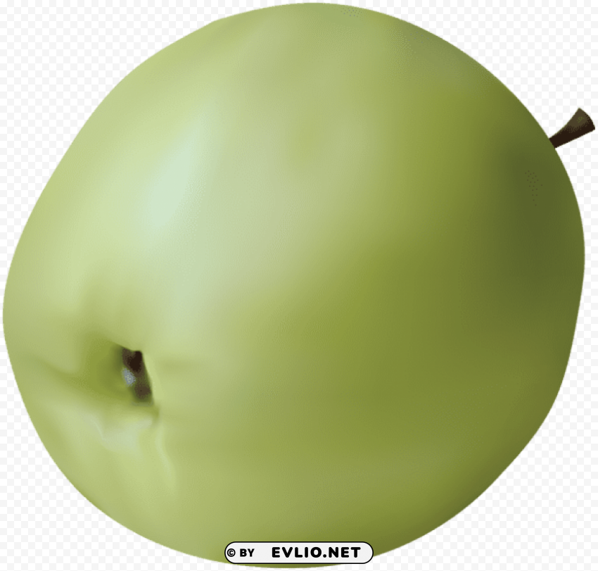 realistic green apple PNG transparent design bundle
