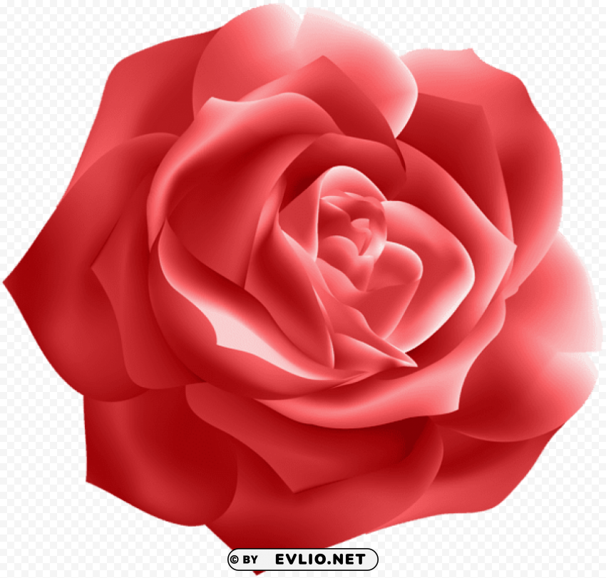 red rose deco PNG images for personal projects