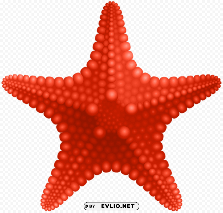 starfish Transparent Background Isolated PNG Art