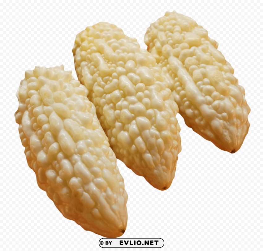white bitter gourd PNG high quality