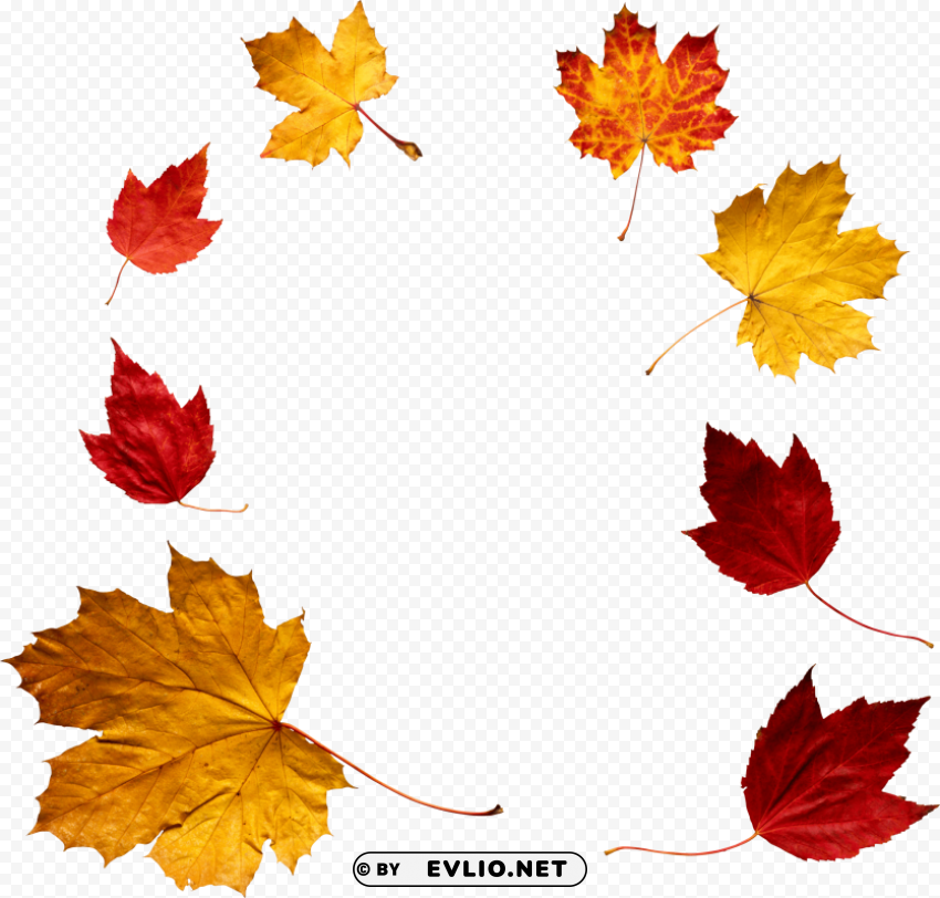autumn leaf Transparent background PNG images complete pack