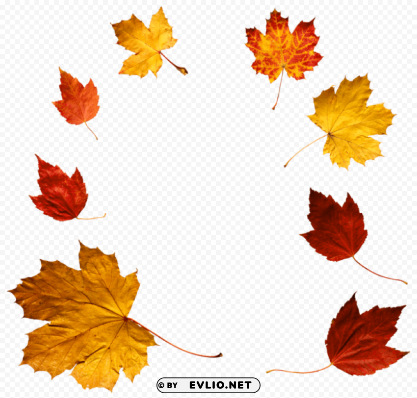 autumn leaves PNG images with alpha transparency bulk