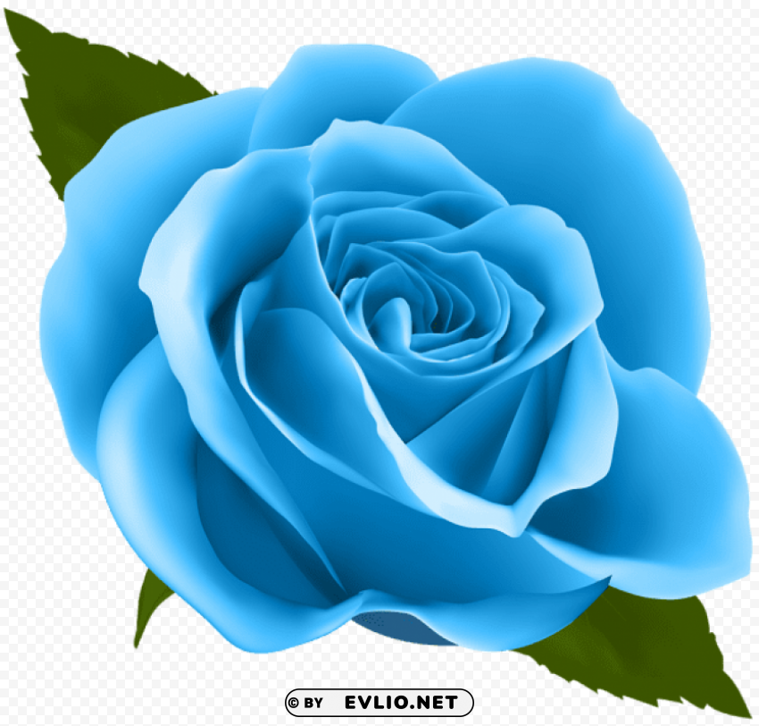 PNG image of blue rose PNG free transparent with a clear background - Image ID 4640b59c