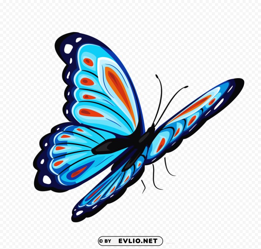 butterfly Isolated Object with Transparent Background PNG