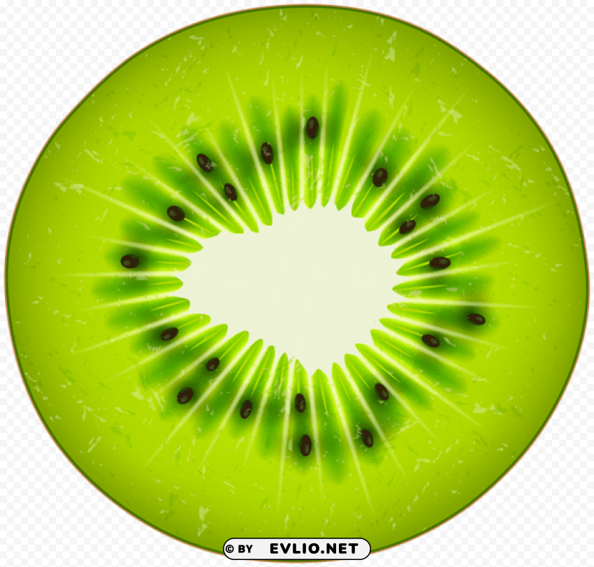 circle of kiwi Isolated Character on Transparent PNG