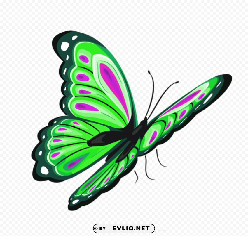 green and pink butterflypicture Isolated Character in Transparent PNG clipart png photo - dbfe6c02