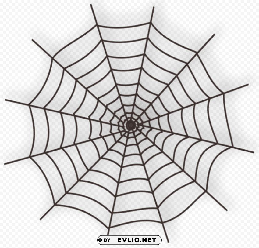 Large Haunted Spider Web PNG With Transparency And Isolation