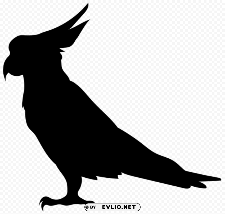 parrot silhouette Clear PNG pictures assortment