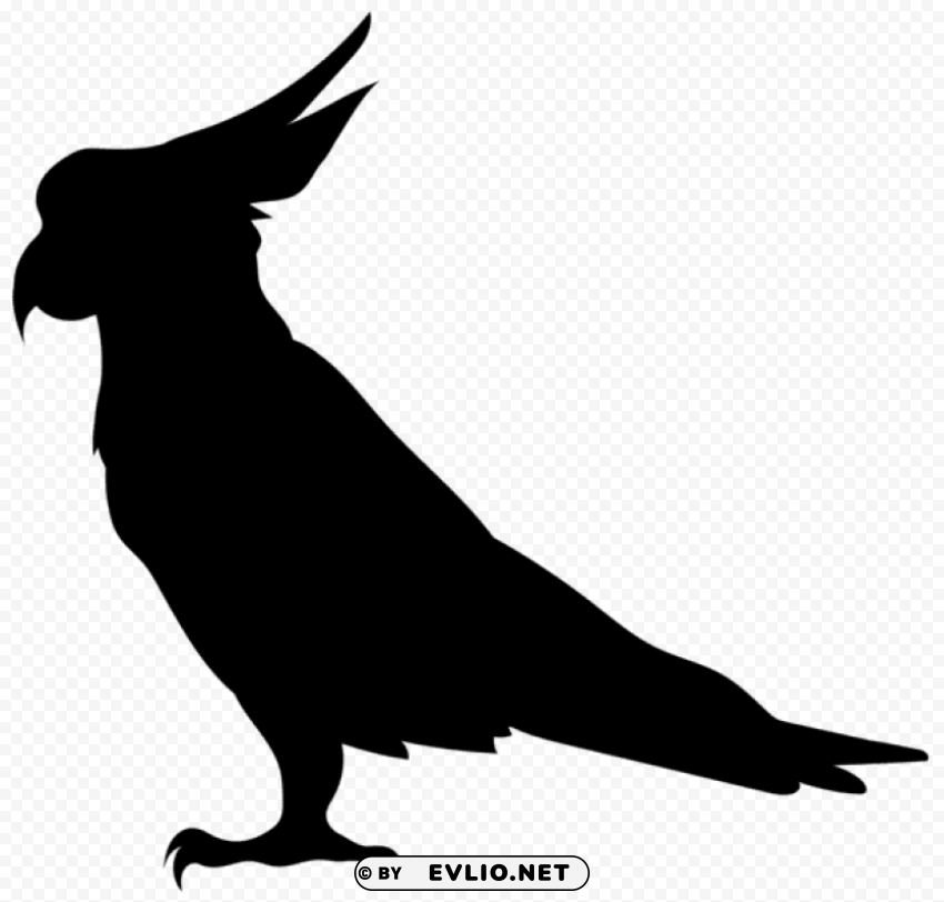 Parrot Silhouette Clear PNG Pictures Assortment