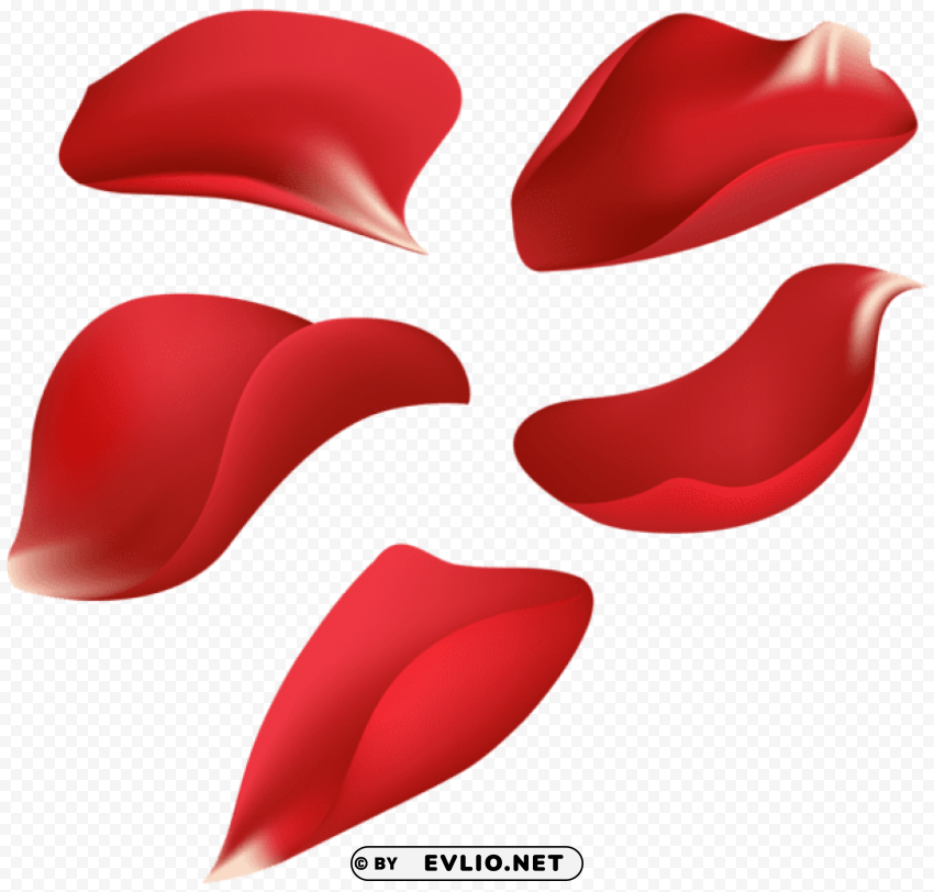 red rose petals transparent Clear background PNG graphics