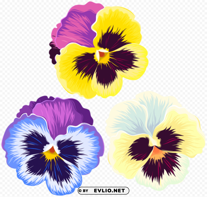 violets PNG images with transparent layering