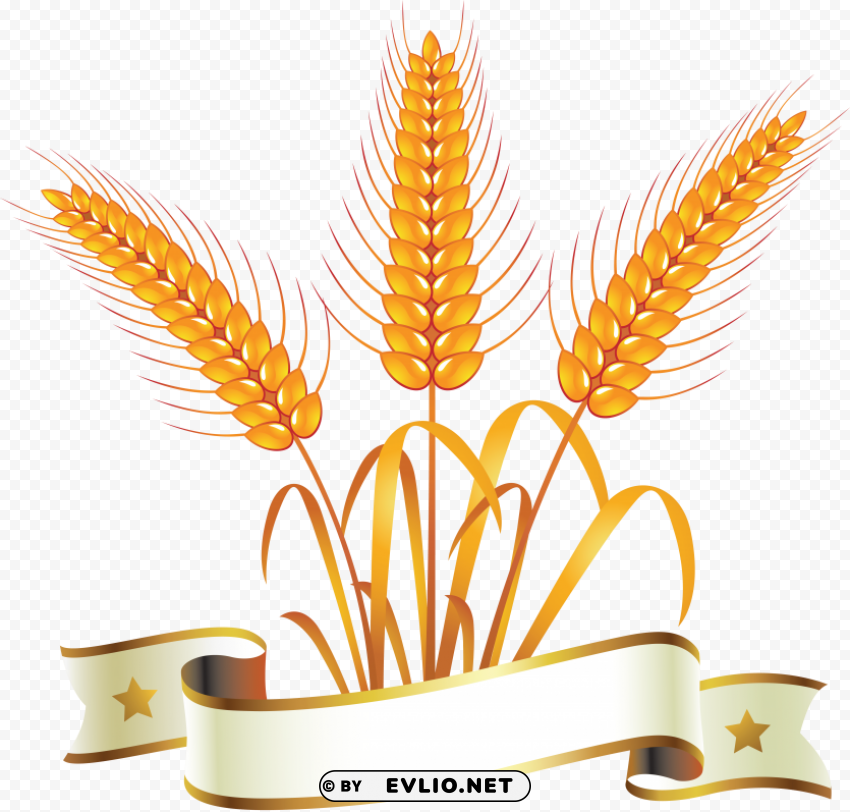 Wheat PNG images for websites