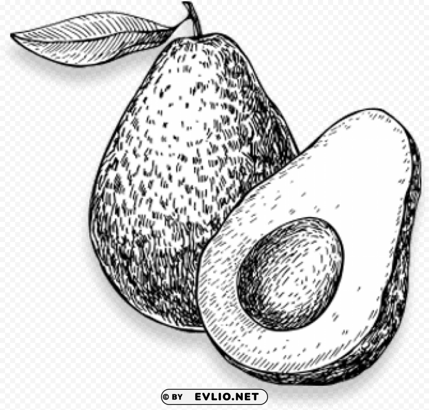 black and white picture of avocado Transparent PNG image
