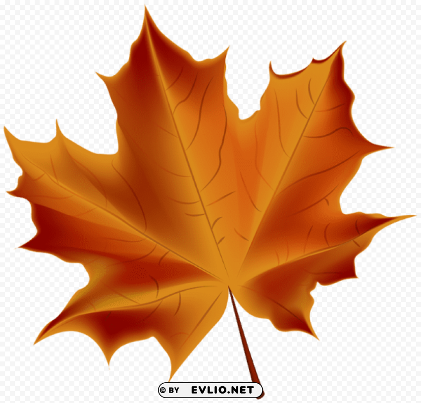 beautiful red autumn leaf transparent PNG images for merchandise