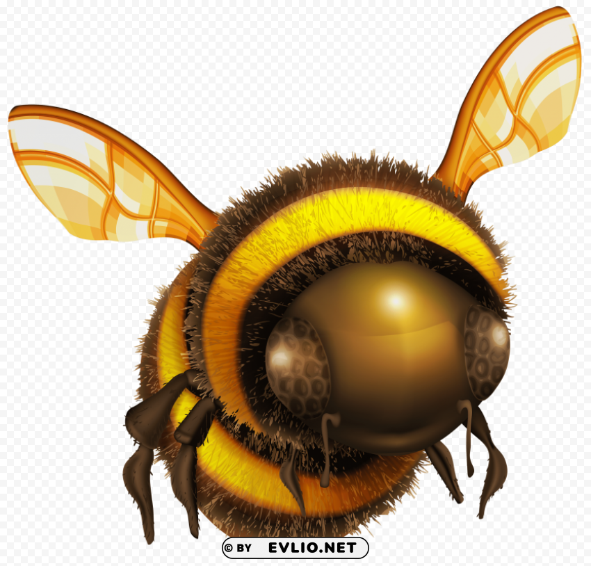 Bee PNG Graphic Isolated On Clear Backdrop