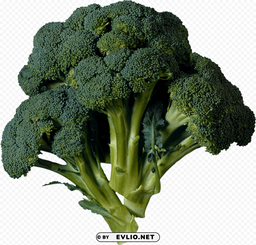 broccoli PNG transparent images for social media