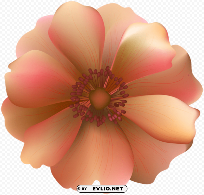 Orange Flower Decorative PNG Images With Transparent Layering
