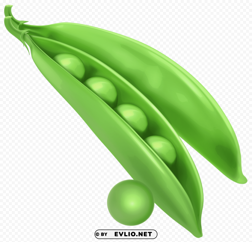 pea Isolated Subject in Transparent PNG Format