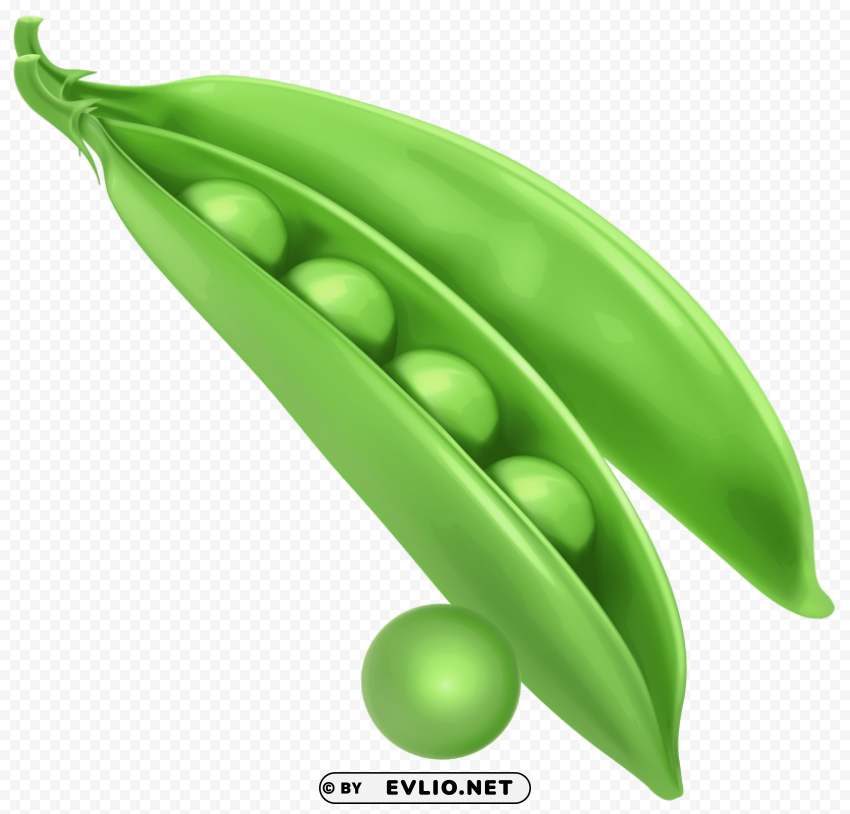 Pea Isolated Subject In Transparent PNG Format