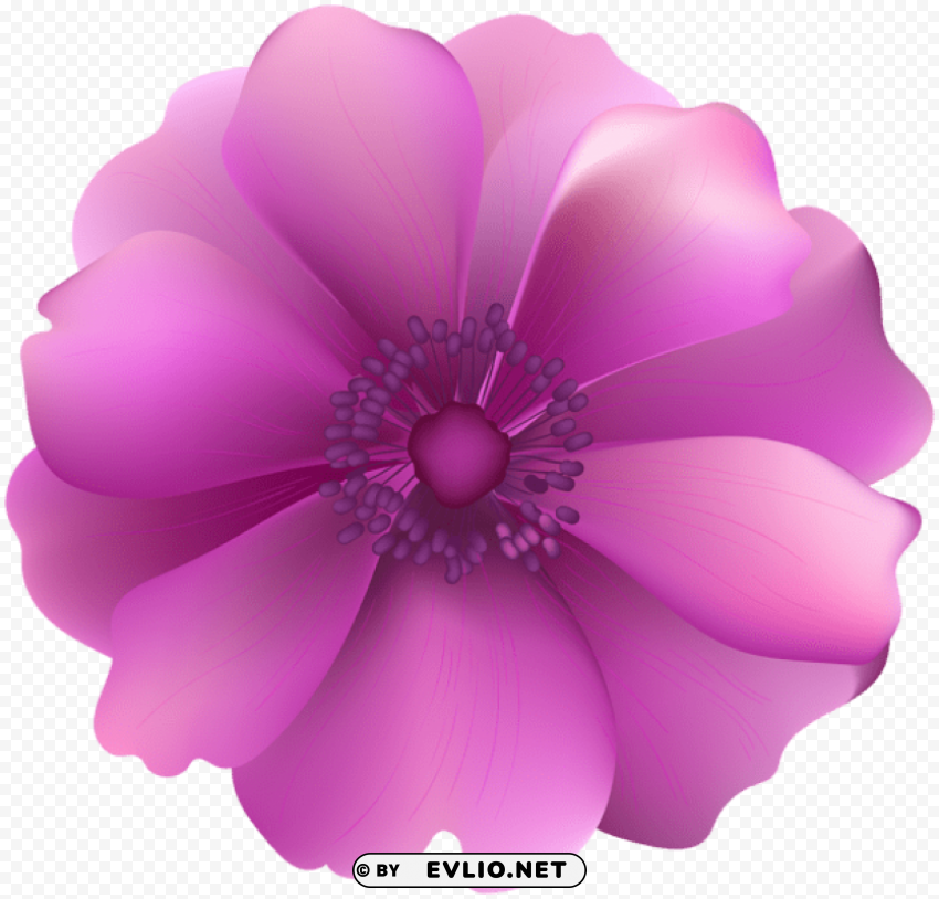 pink flower decorative transparent PNG images without licensing