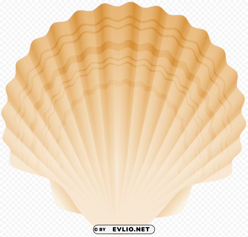 seashell PNG transparent graphics bundle