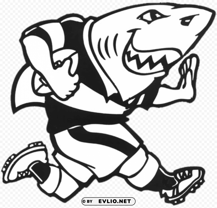 Sharks Rugby Mascotte Transparent Graphics