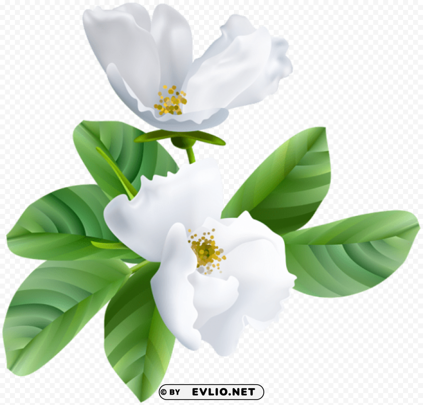 spring blooming transparent PNG images with no royalties