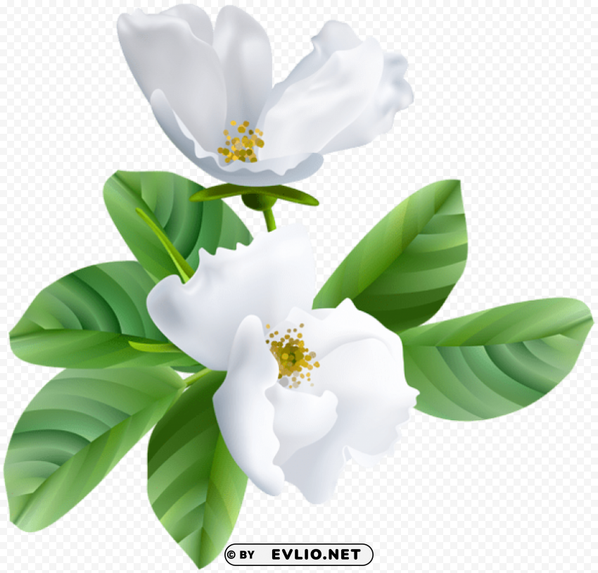 Spring Blooming Transparent PNG Images With No Royalties