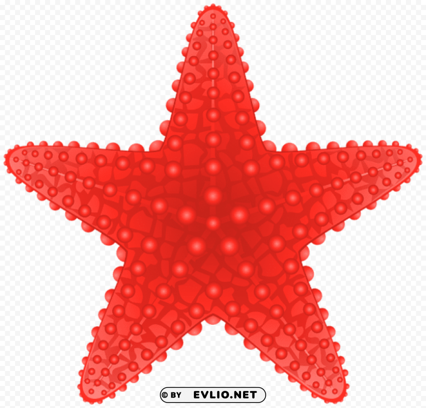 starfish Transparent art PNG
