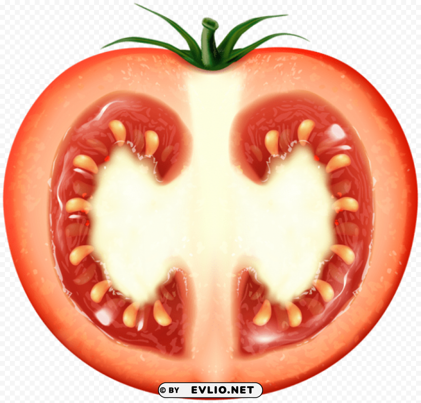 half tomato transparent PNG files with clear background variety