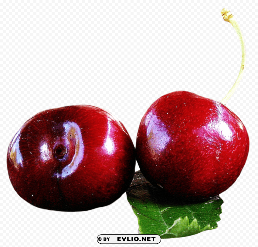Juicy Cherry Isolated Artwork in HighResolution PNG
