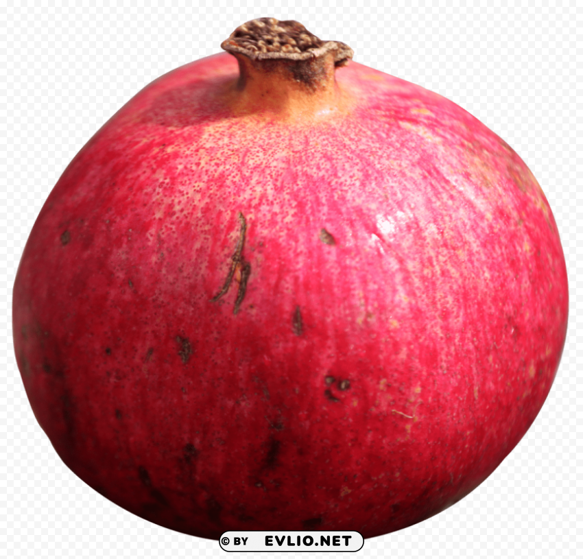pomegranate Isolated Element in Transparent PNG