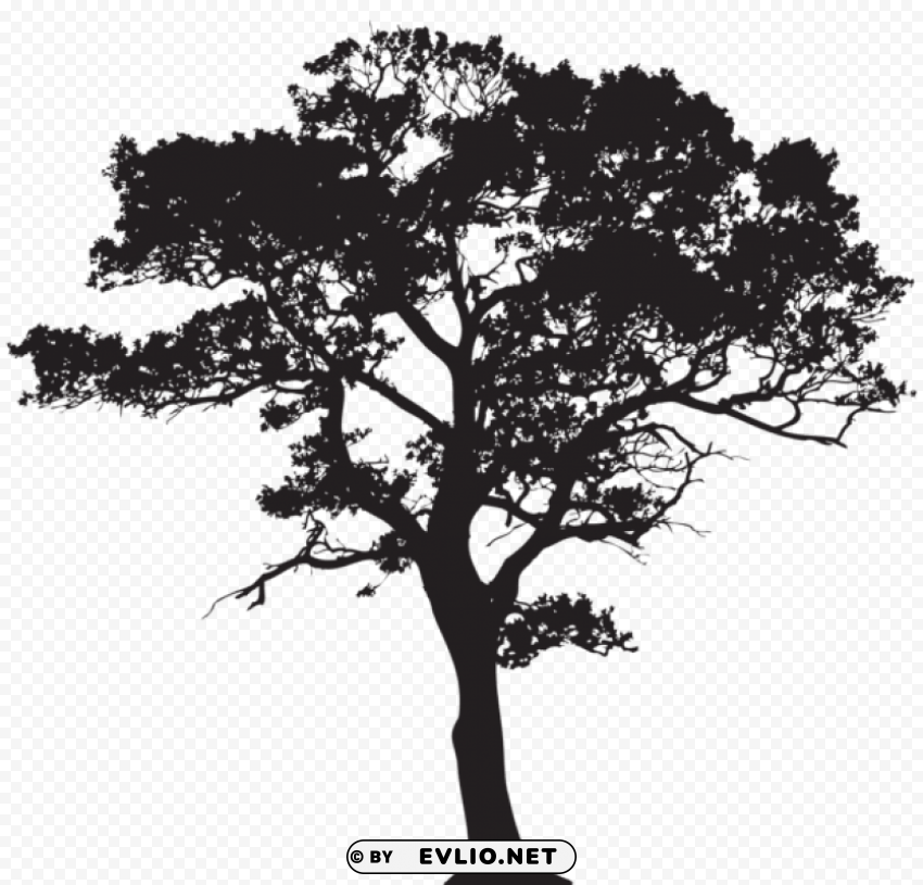 silhouette tree PNG format with no background