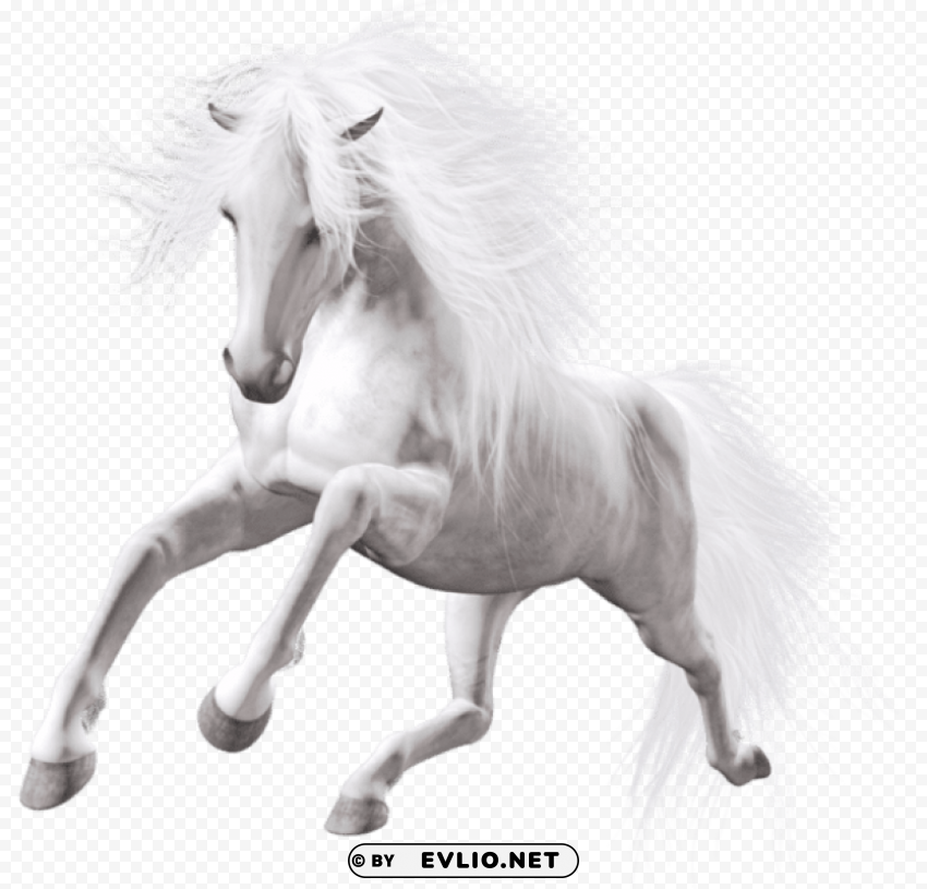 transparent white horse PNG for digital art