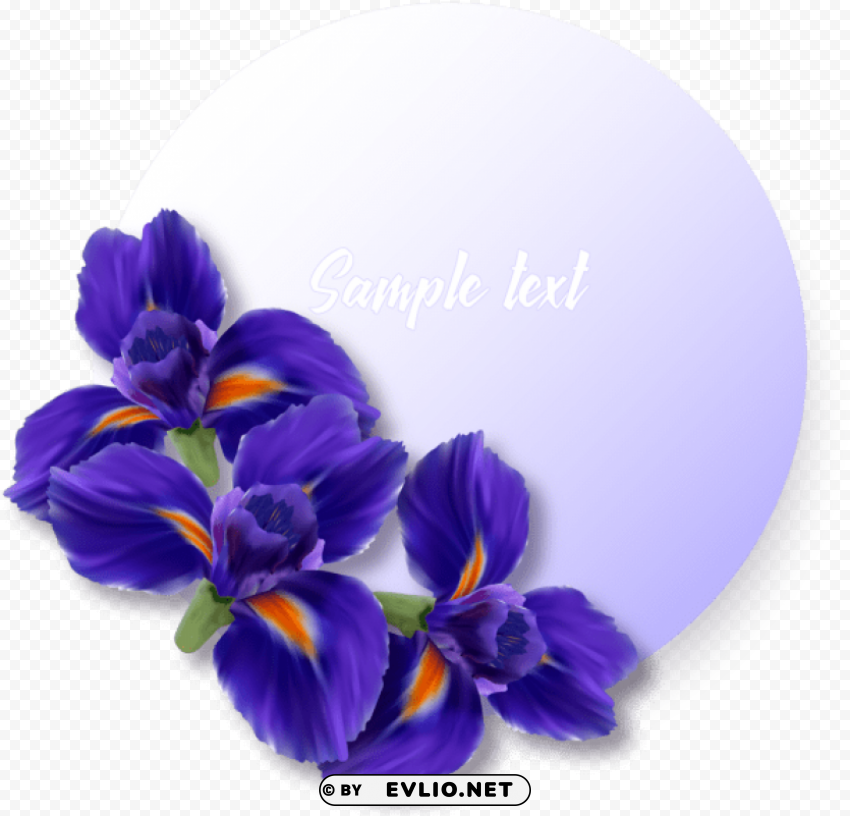 Flower PNG Files With No Background Bundle