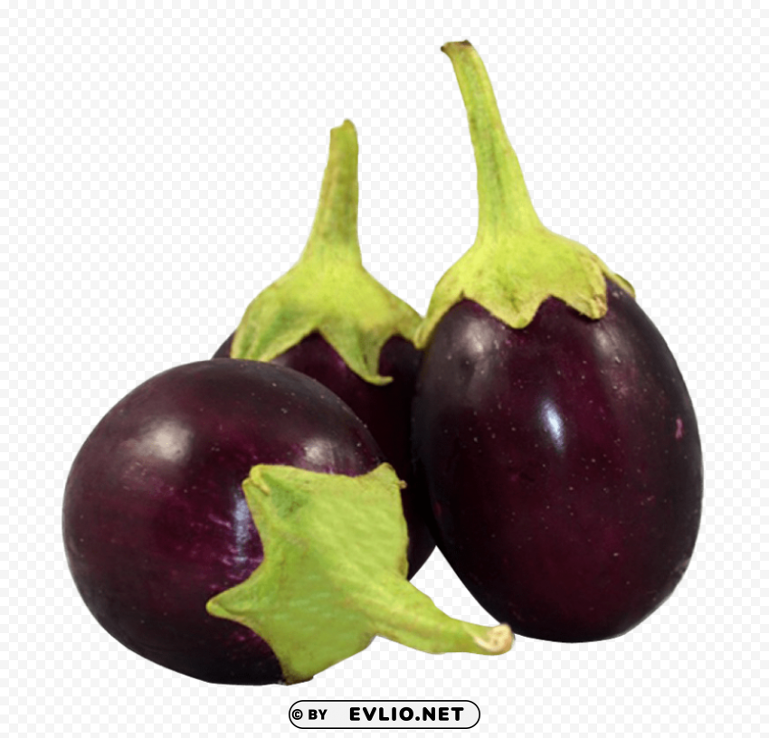 fresh brinjal PNG Graphic with Isolated Design